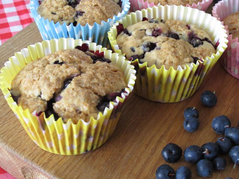 Healthy Blueberry Muffins